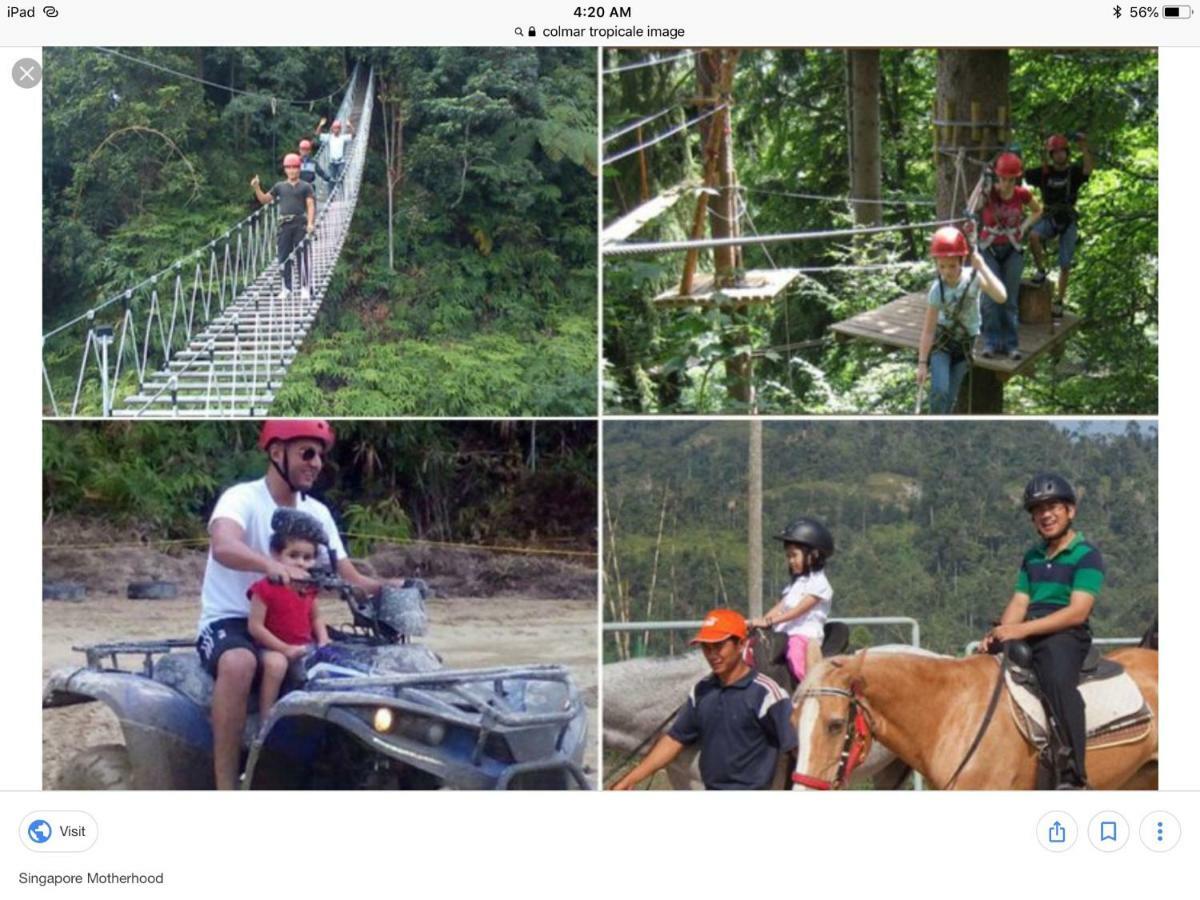 Bukit Tinggi Berjaya Hill Homestay Eksteriør billede