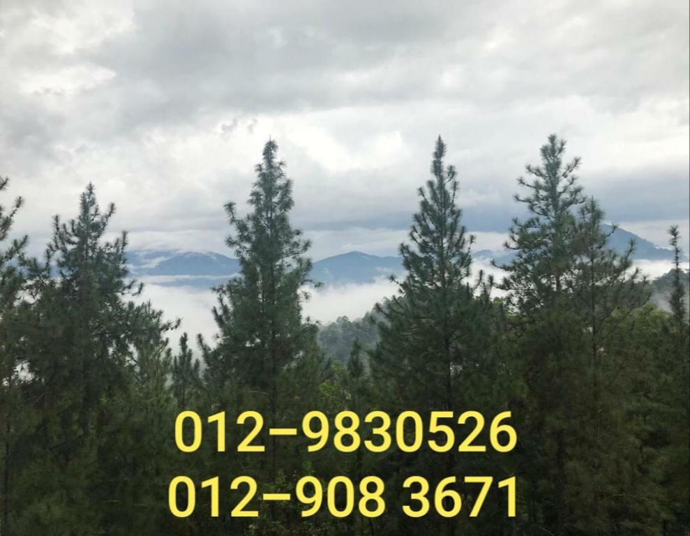 Bukit Tinggi Berjaya Hill Homestay Eksteriør billede